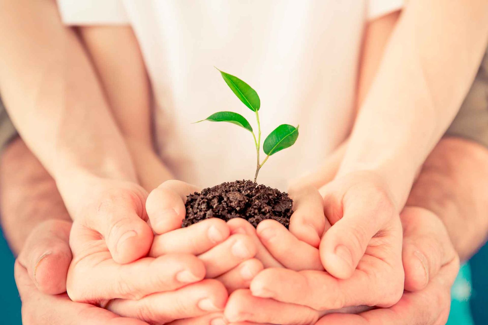Curso Introducción a la Psicología Integral de la Persona